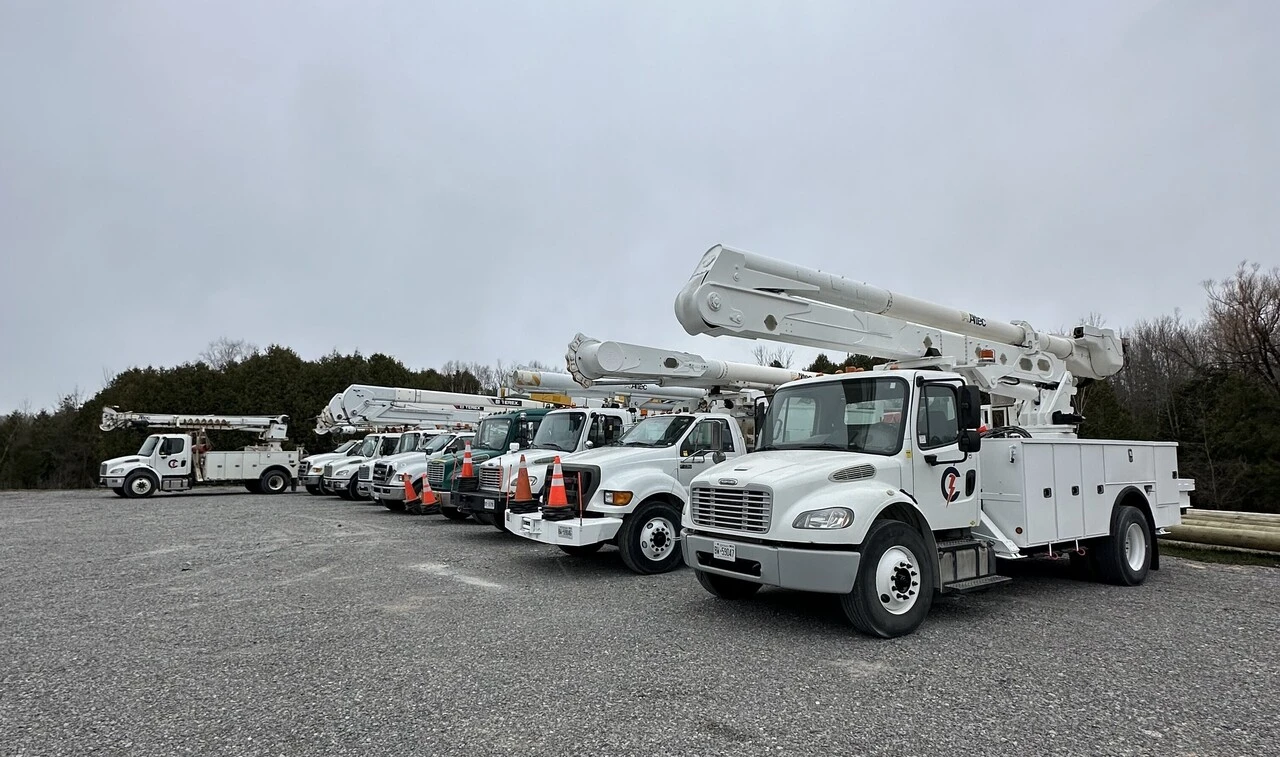 A group of trucks parked in a parking lot.