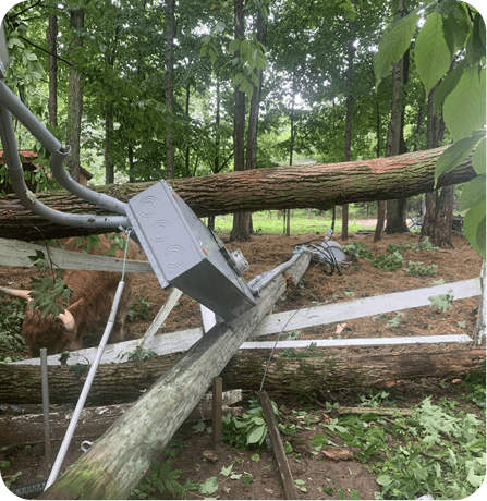 A power box sitting on top of a tree.